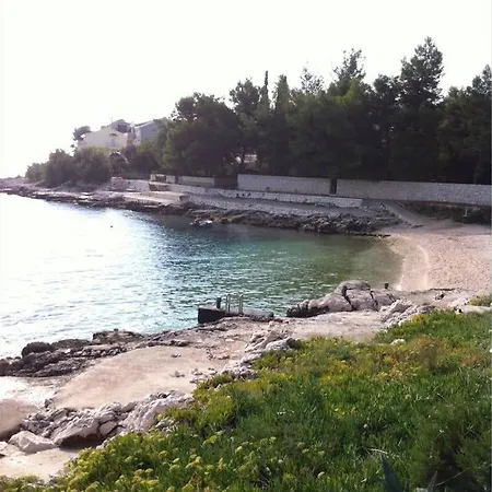 Mladen Trogir