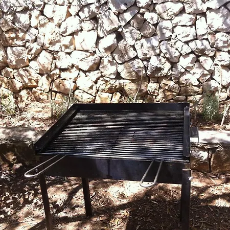 Mladen Trogir