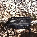 Mladen Trogir