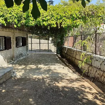 Mladen Trogir